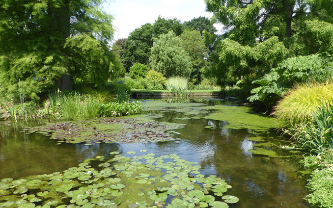 Beth Chatto Gardens, Essex, by Pam Fray 